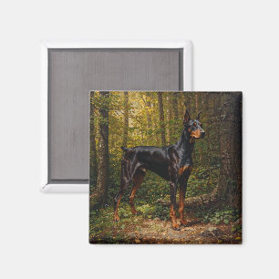 Aimant Pinscher Doberman