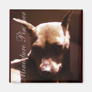 Aimant Pinscher miniature