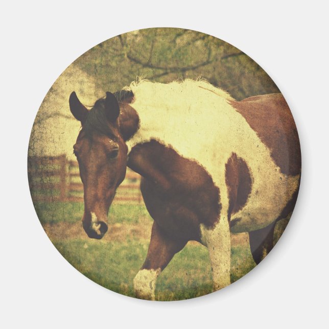 Aimant Pinto (Devant)