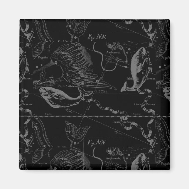 Aimant Pisces Constellation Hevelius 1690 sur Black (Devant)