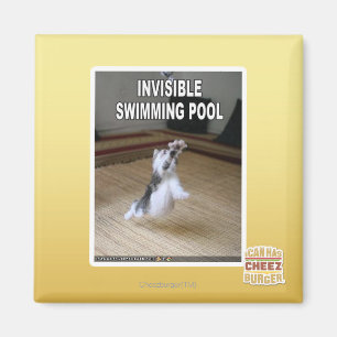 Aimant Piscine invisible