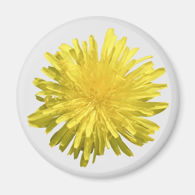 Aimant Pissenlit Jaune (Devant)