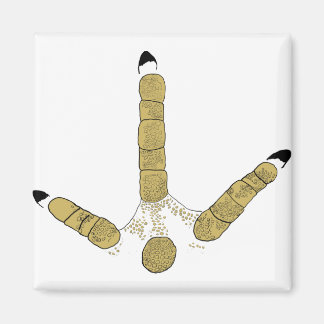 Aimant Piste de Turquie sauvage