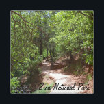 Aimant Piste Emerald Pool - Parc national Zion<br><div class="desc">Parc national de Zion</div>