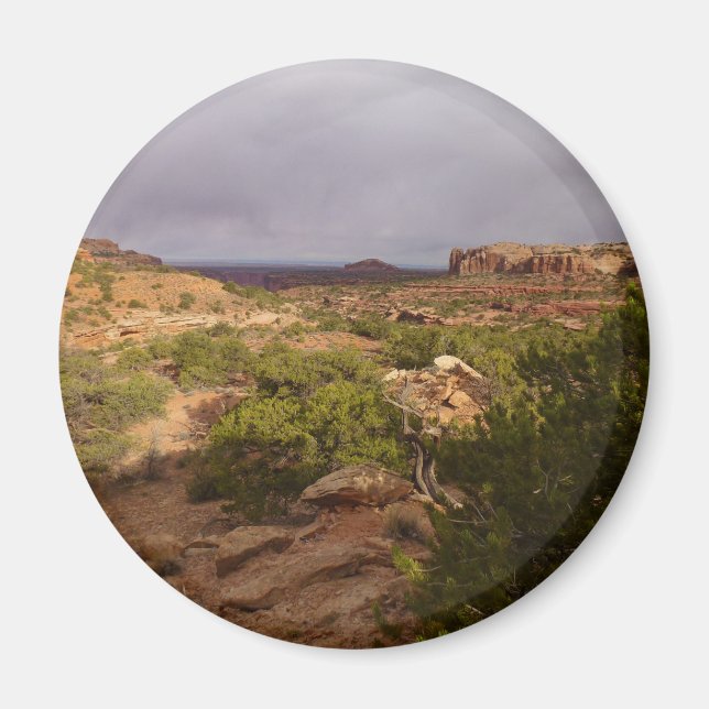 Aimant Piste Neck Springs au parc national des Canyonland (Devant)