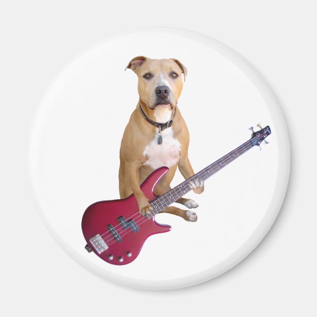Aimant Pit Bull avec guitare (Devant)