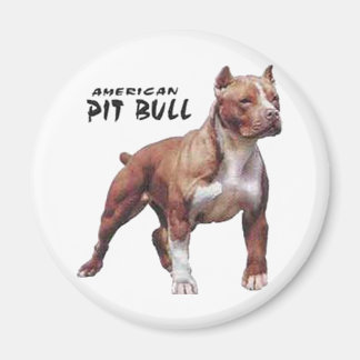 Aimant Pitbull