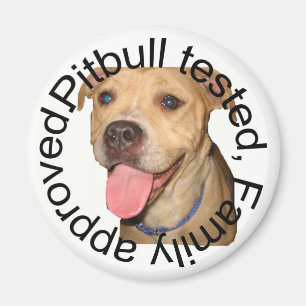 Aimant Pitbull a examiné l'aimant