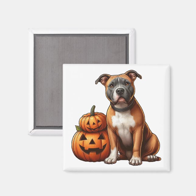 Aimant Pitbull avec Citrouilles d'Halloween (Recto/Verso)