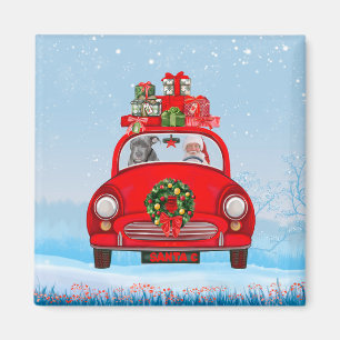 Aimant Pitbull Chien En Voiture Avec Le Père Noël