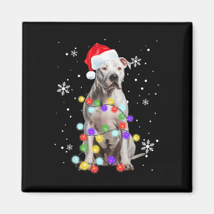 Aimant Pitbull Chien Joyeux Dogmas Père Noël Pitbull Noël