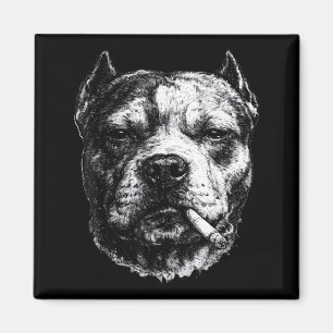 Aimant Pitbull fumeur, Mème de chien drôle fumant une cig