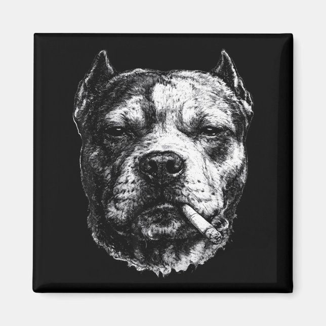 Aimant Pitbull fumeur, Mème de chien drôle fumant une cig (Devant)