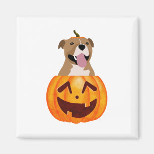 Aimant Pitbull Halloween