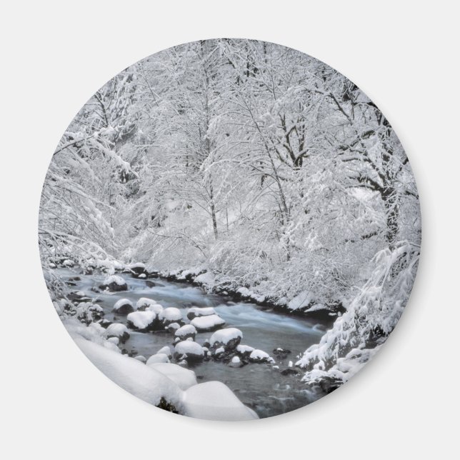 Aimant Pittoresque de crique blanche neige, Oregon (Devant)