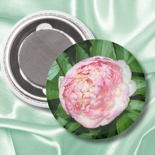 Aimant Pivoine Prête à Fleurir