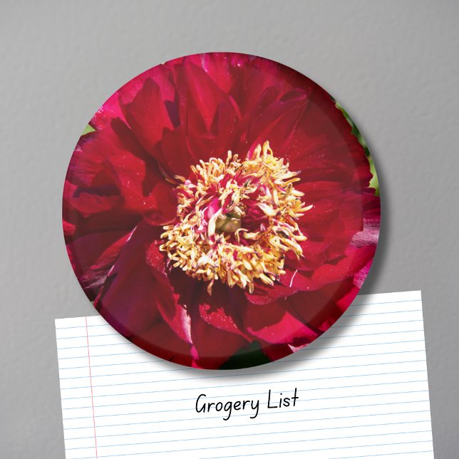 Aimant Pivoine rouge Karl Rosenfield (Créateur téléchargé)