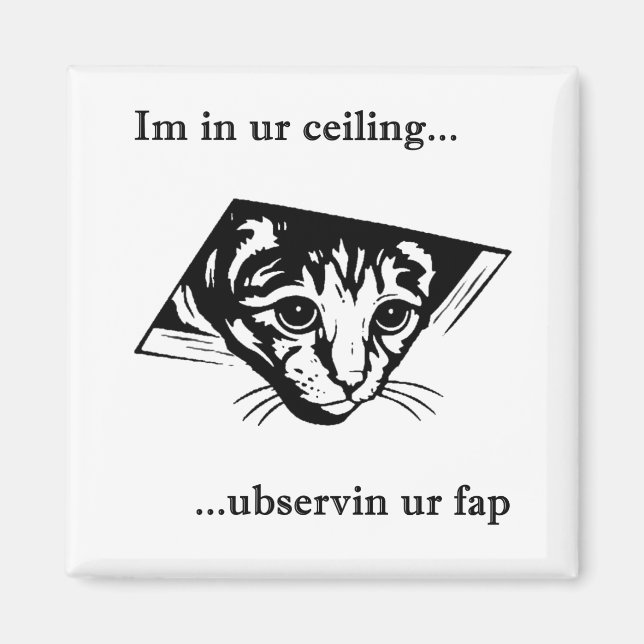 Aimant Plafond Cat ubservin u... (Devant)