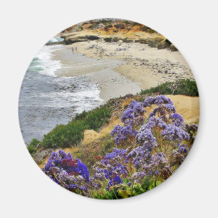 Aimant Plage à la crique de La Jolla