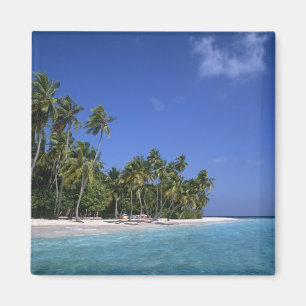 Aimant Plage avec palmiers, Maldives