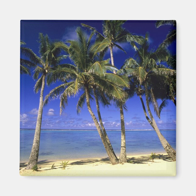 Aimant Plage bordée de palmiers Îles Cook 4 (Devant)