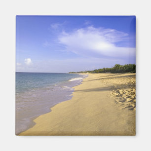 Aimant plage de Baie Longue Long Bay, St-Martin,