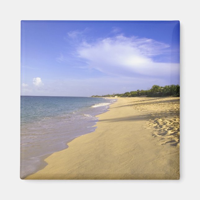 Aimant plage de Baie Longue Long Bay, St-Martin, (Devant)