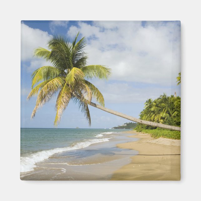 Aimant Plage de Coconut Grove à Cades Bay, avec St. 2 (Devant)