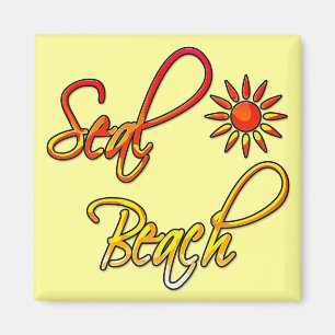Aimant Plage de joint