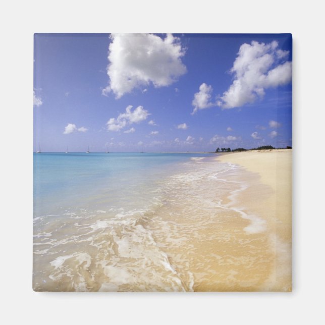 Aimant Plage de Low Bay, Barbuda, Antigua (Devant)