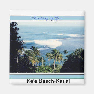 Aimant Plage de Magnet-Ke'e, Rive-Nord de Kauai