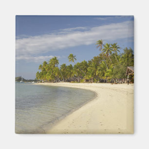 Aimant Plage et palmiers, Plantation Island Resort