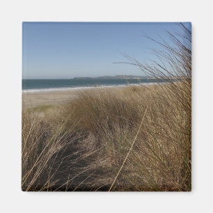 Aimant Plage Limantour à Point Reyes National Seashore I