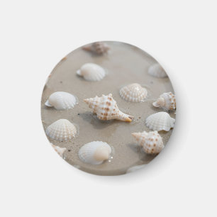 Aimant Plage Sérénité aux Coquillages Délicats