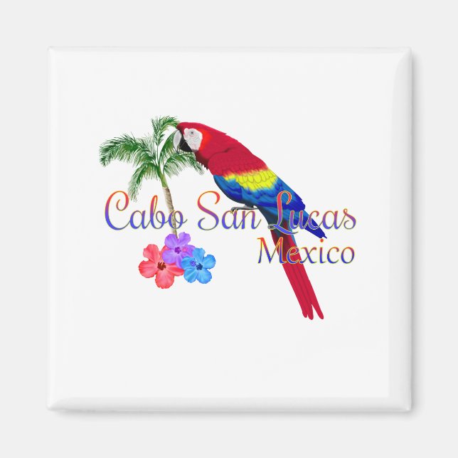 Aimant Plage tropicale de Cabo San Lucas (Devant)
