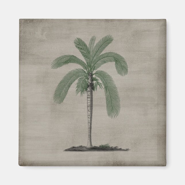 Aimant Plage tropicale Palm Vintage (Devant)
