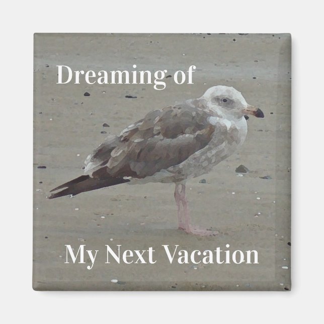 Aimant Plage Voyage Peint Gris Oiseau côtier de mouette g (Devant)