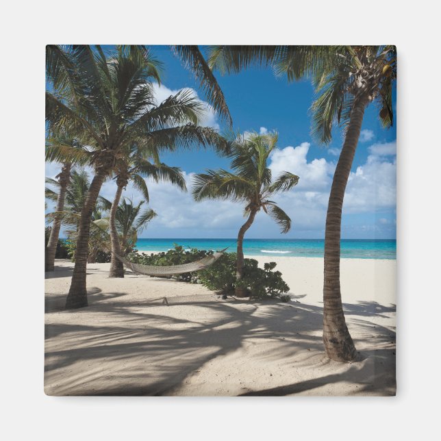 Aimant Plages tropicales | Anguilla Beach, Palm Tree (Devant)
