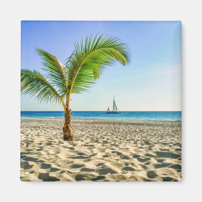 Aimant Plages tropicales | Bateau, Palmier, Aruba (Devant)
