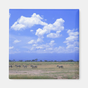 Aimant Plaine de Grassy