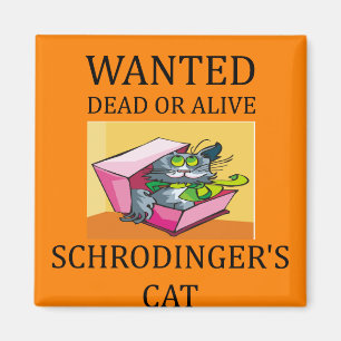 Aimant plaisanterie du chat des schrodinger