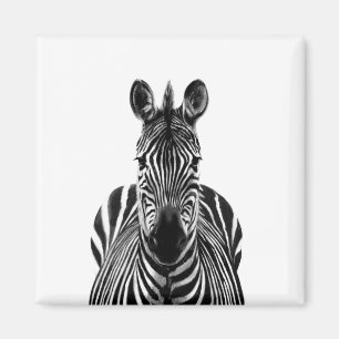 Aimant Plan de sauvegarde III