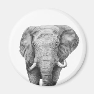 Aimant Plan de sauvegarde IV