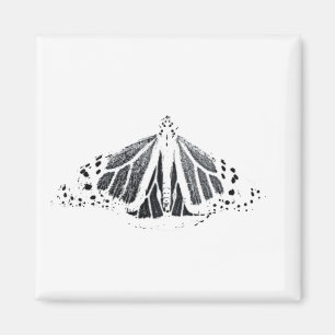 Aimant Plan Monarque