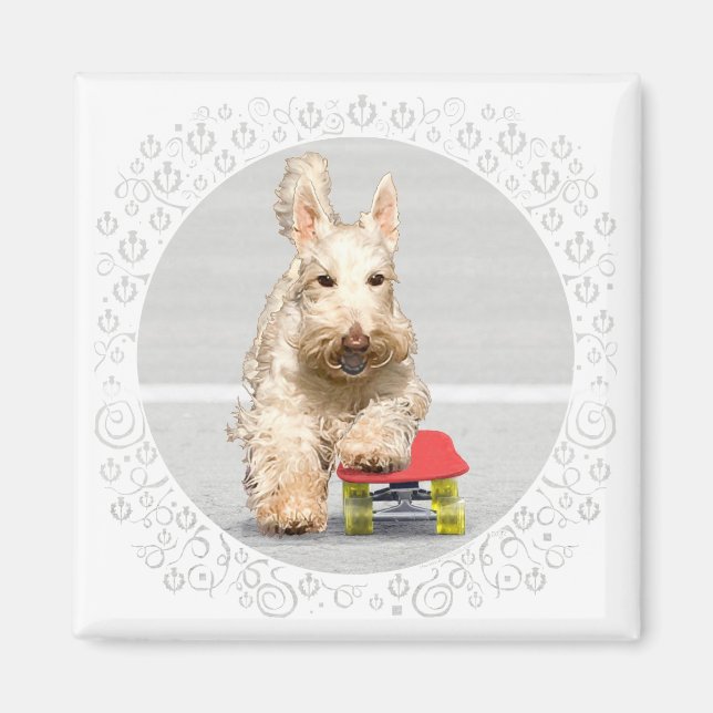 Aimant Planche à roulettes Wheaten Scottish Terrier (Devant)