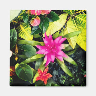Aimant Plantes tropicaux