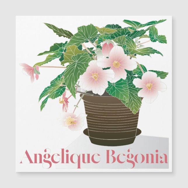 Aimant plat Begonia (Devant)