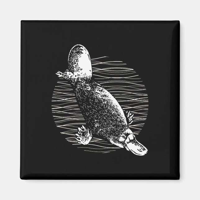 Aimant Platypus Outback Faune Nature Platypus (Devant)