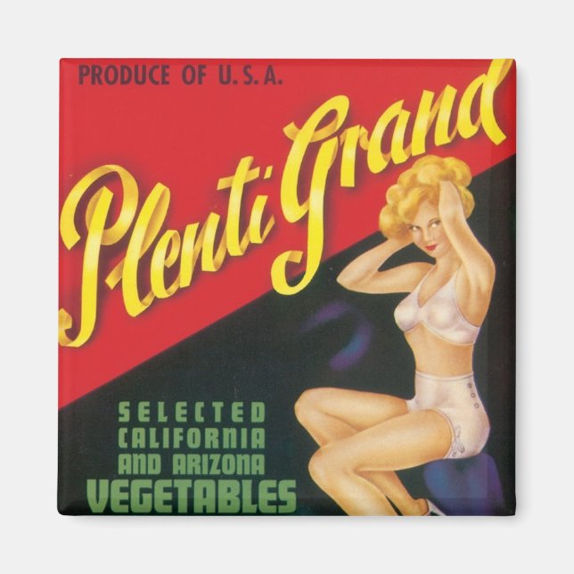 Aimant Plenti Grand (Devant)