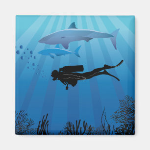 Aimant Plongée de requin Plongée plongée